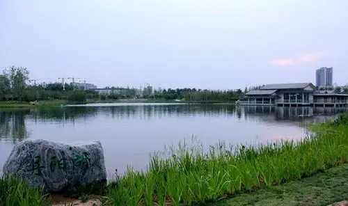 春日的丹阳湖公园游人如织牡丹盛放夺人眼球