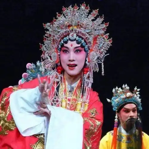 济宁豫剧梆子剧团下乡演出回龙传1--5本大型历史剧    菏泽枣绑剧团