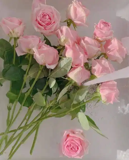 背景图 | 微信背景图 简单又好看