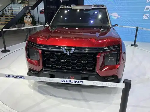 【图】五菱银标首款车型登场_五菱宏光plus论坛_汽车之家论坛