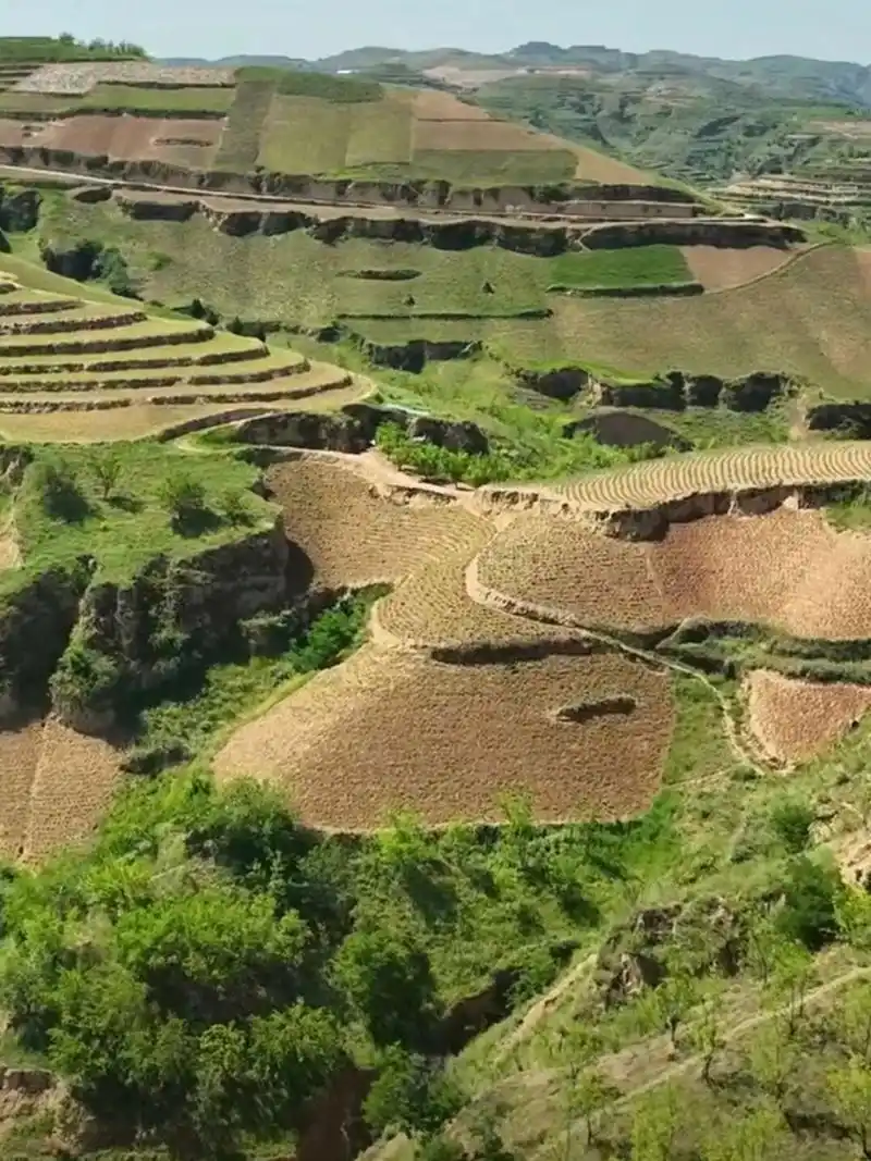 黄土高坡的风景