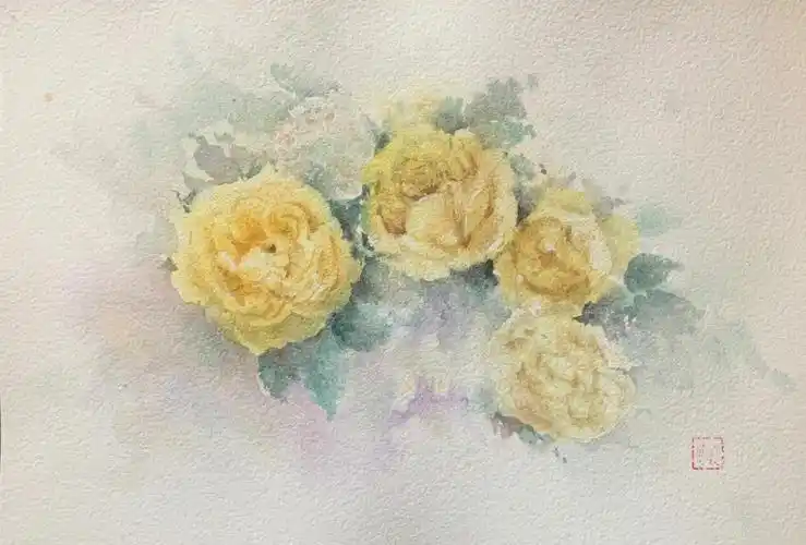 水彩金丝雀月季湿画法带步骤