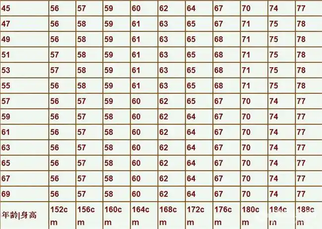 公司车辆保险计算 保险体重身高计算公式-全球五金网