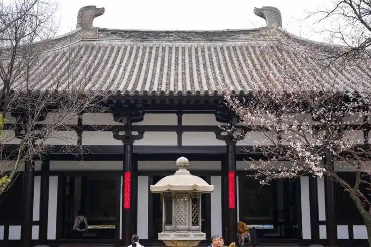 发现这几个地方最值得打卡,超出片_瘦西湖_主要景点_大明寺