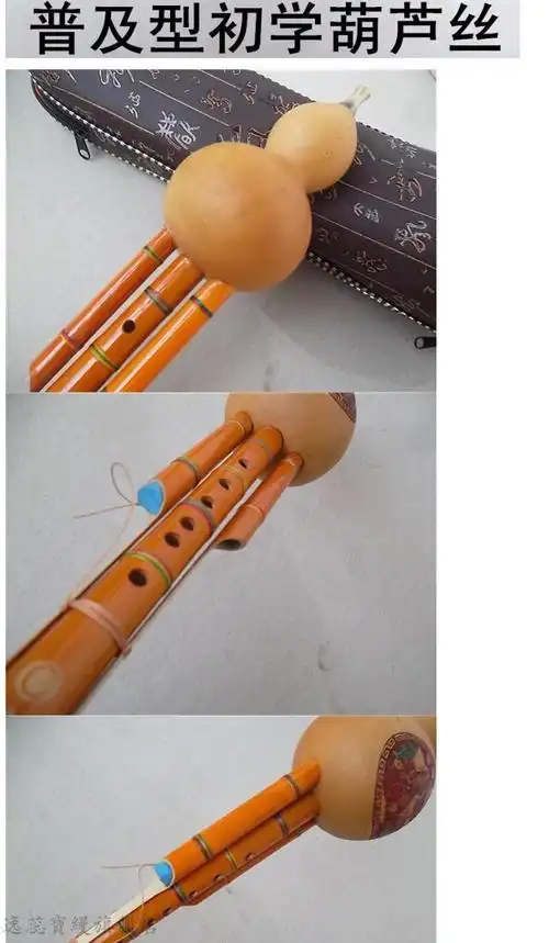 云南葫芦丝民族乐器凤尾竹双音初学练习型c调葫芦丝初学c调皮盒