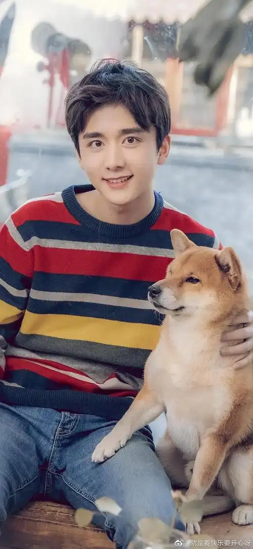 张新成78顺便安利变成你的那一天