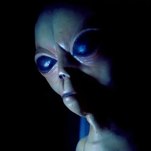 外星人图片 关于外星人的10副逼真照片(7)