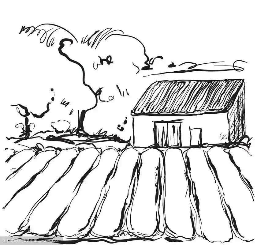 手绘的一个田地和房子