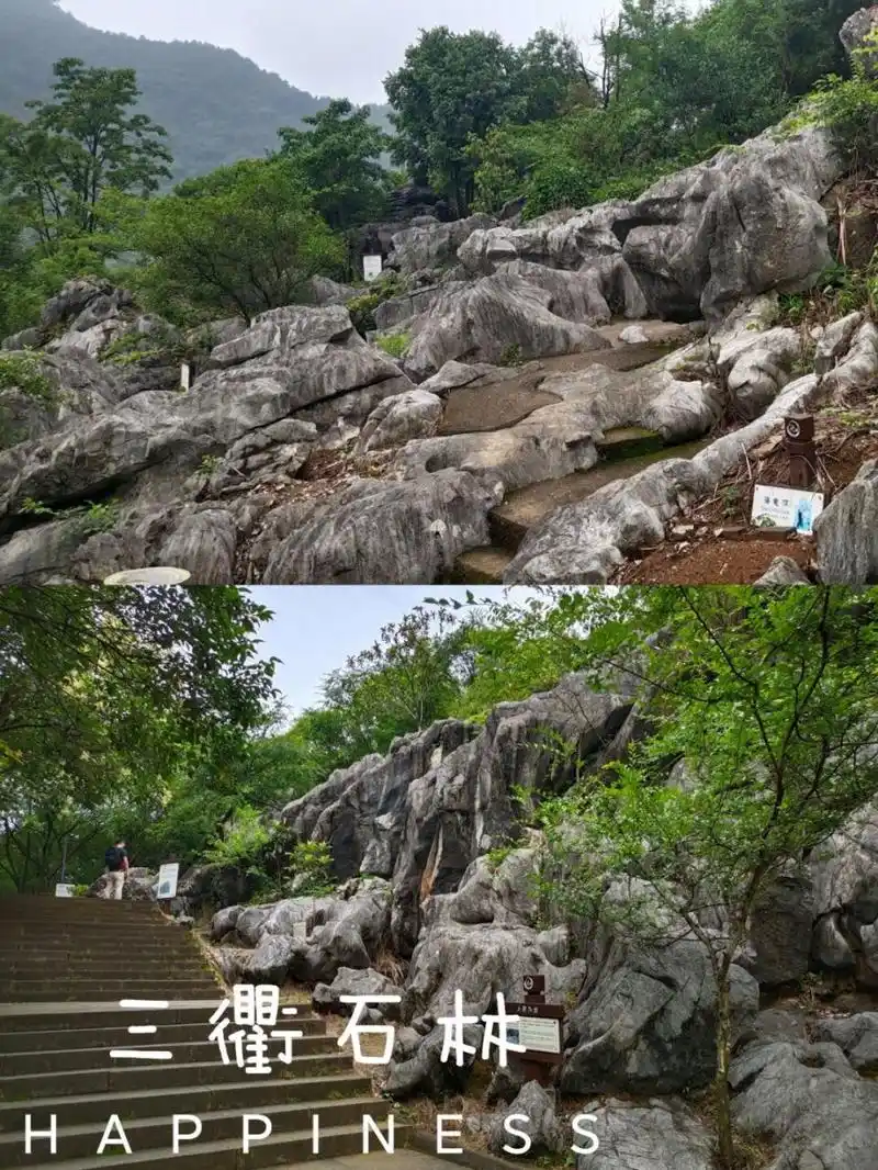 99详细地址: 景区位于浙江省衢州市常山县,是浙西旅游的一个经典