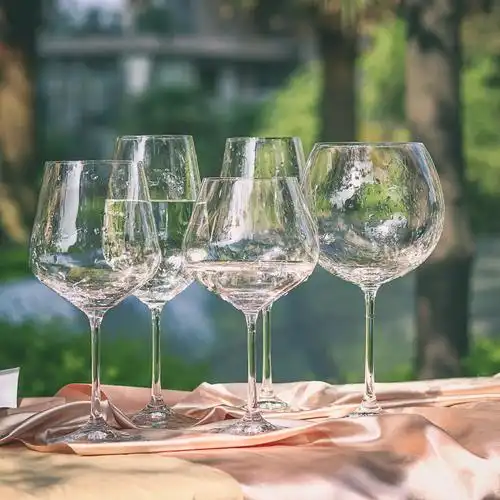 经典杯型捷克进口水晶玻璃杯透明款欧式高脚杯香槟杯红酒杯酒具