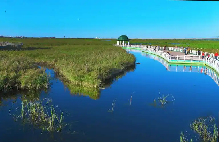 中秋游《大庆龙凤湿地》