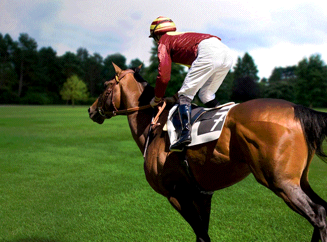 640_474gif 动态图 动图