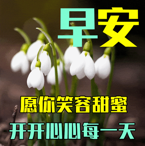 8月19日秋天早上好动态表情图片及早晨好动图美图大全_问候_亲朋好友