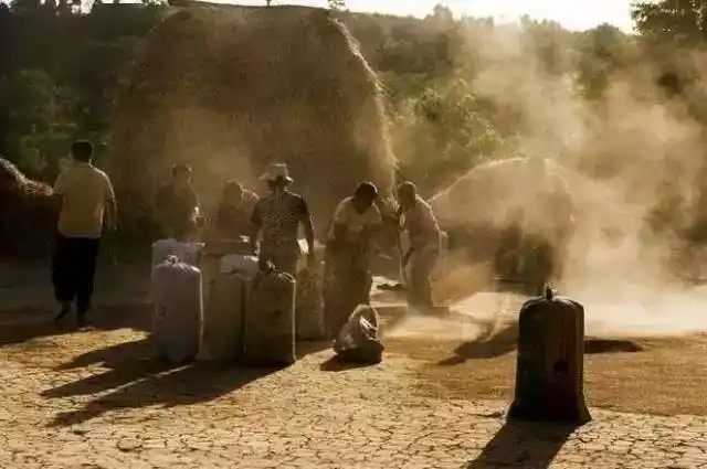 一组农村老照片放过麦收假的才看得懂