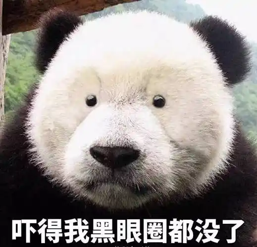 用手机的美颜功能再帮人家去一下黑眼圈就完美了!能!