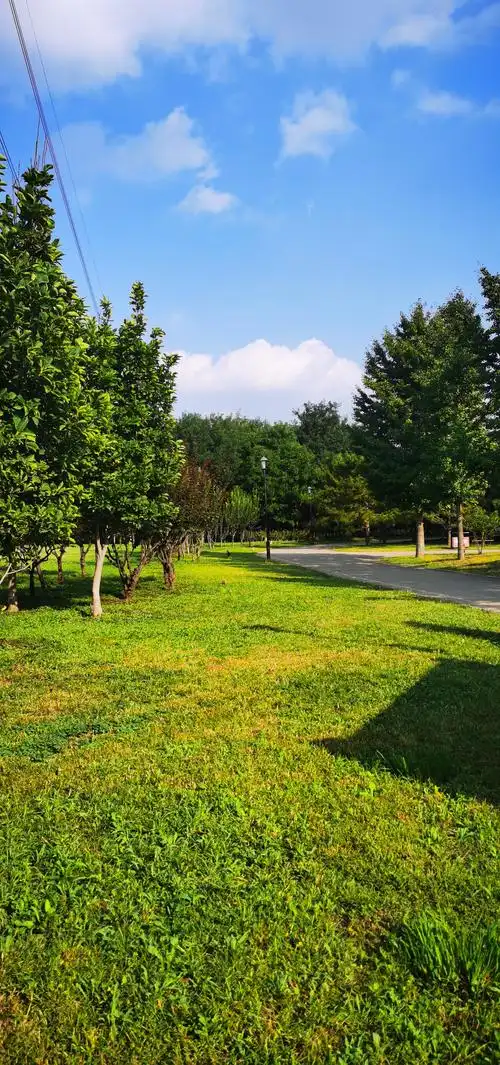 2020-9-24 鸿博郊野公园的初秋景色.