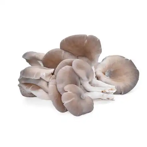 秀珍菇 商品图0