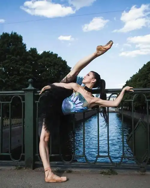 不止优雅华丽!|艺术|肖像画|芭蕾舞者|irina_网易订阅