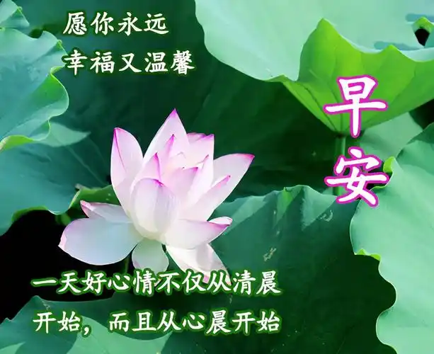 早上好图片2021最新图片 又是新的一天 - 早安心语- 不二励志语录