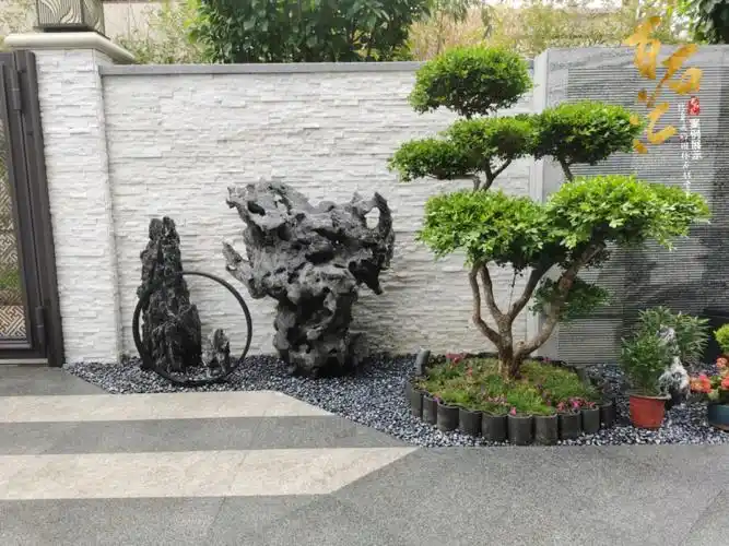 这样的黑太湖石头造景亲戚朋友看到都喜欢