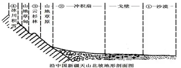 下图是沿中国新疆天山北坡地形剖面图回答下列各题1图中土壤最深厚