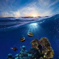 蓝色天空大海头像_微信头像图片大全