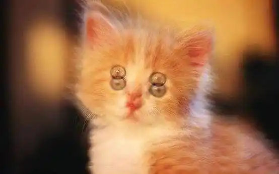 眼睛把一个东西看成两个又或出现重影这意味着什么