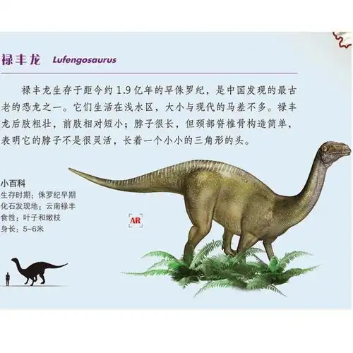 介绍恐龙的资料大全「介绍恐龙的资料大全 了解」