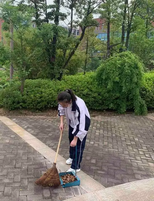 湖南省普通高中综合素质评价数据公示查询平台