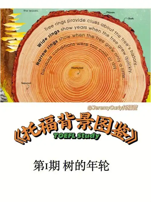 托福背景图鉴第1期树的年轮