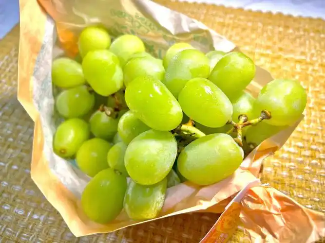 日本麝香葡萄王超大颗78太好吃了