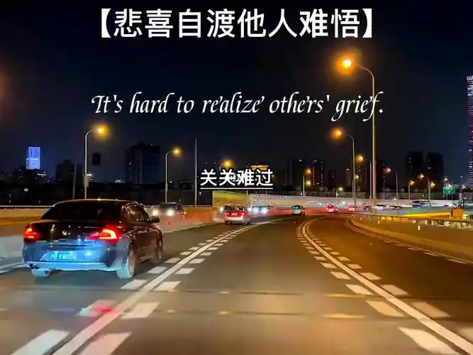 悲喜自渡他人难悟