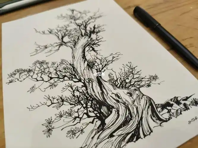 临摹  邓蒲兵钢笔速写临摹优秀的作品,就是站在巨人的肩上学习面对