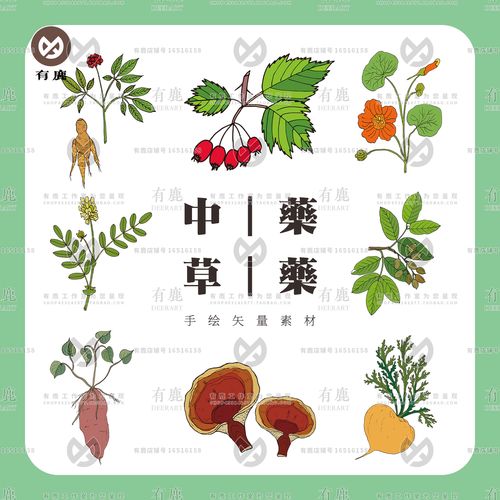手绘中草药中医药草本植物彩绘插画图案矢量素材png免抠百科图片