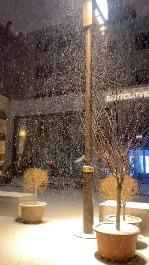 南方的艳阳里四季如春,北方的寒夜里大雪纷飞!