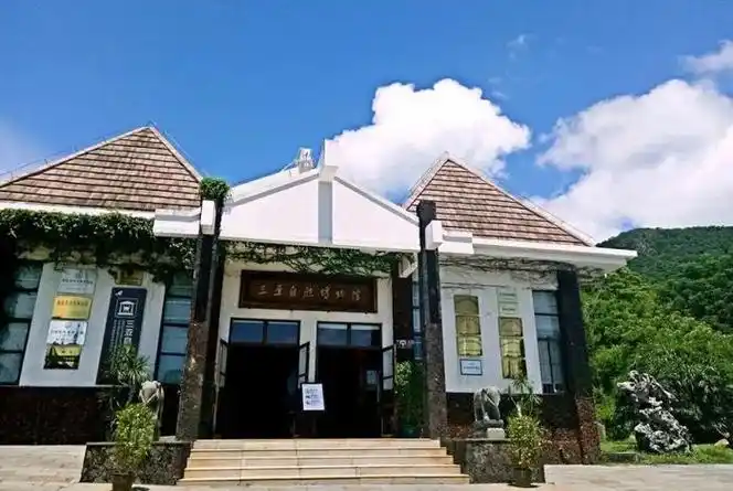 海南博物馆最全打卡名单 →|海南省|文物|海口市_新浪新闻