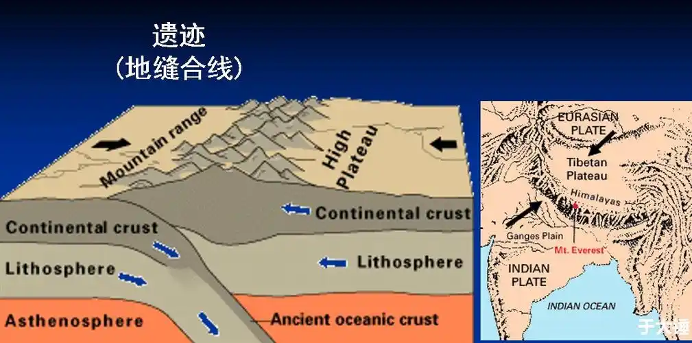 沧海桑田真实存在威尔逊旋回解密神话故事的真相