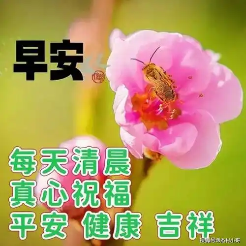 11月18日精选早上好图片,新的一天一声问候,愿朋友们健康快乐!