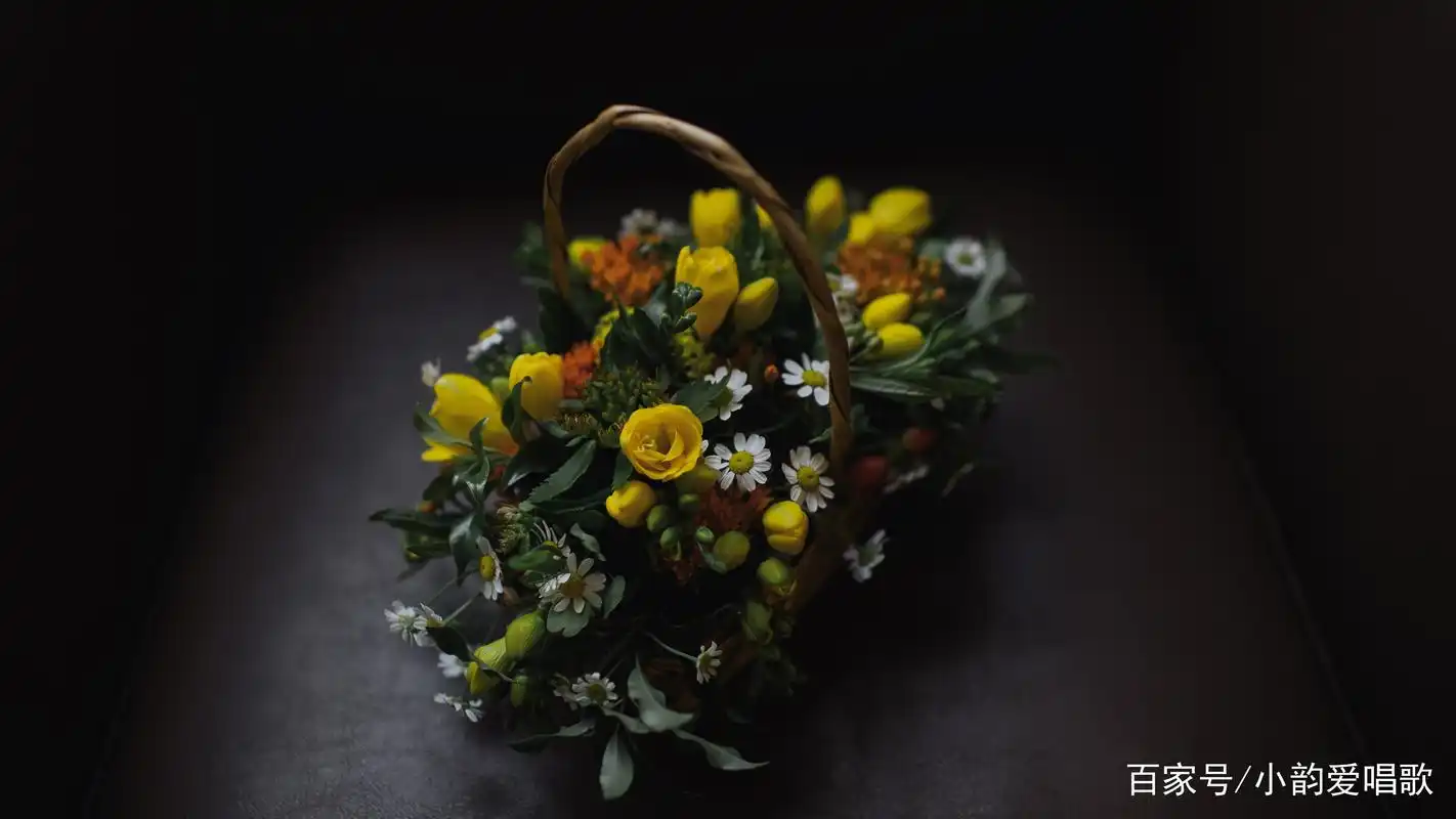 性格绵善,遇事却最有主意的三大星座