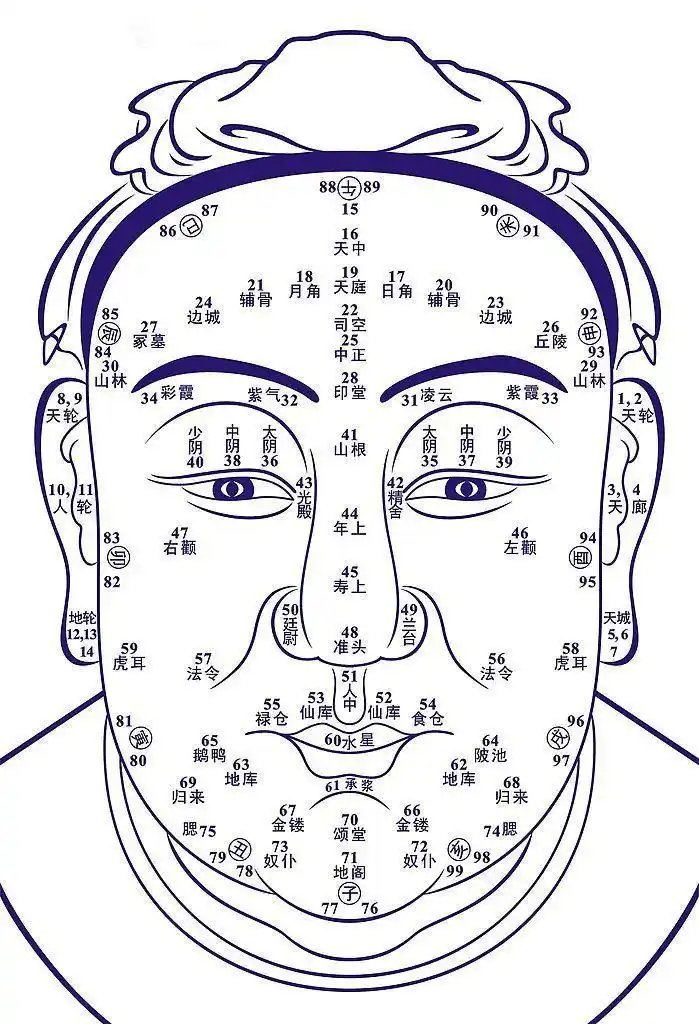 面相流年运势图