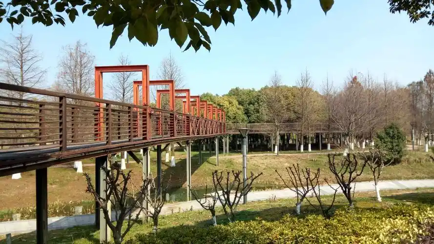 架空的木栈道,多种形式的空间视角.