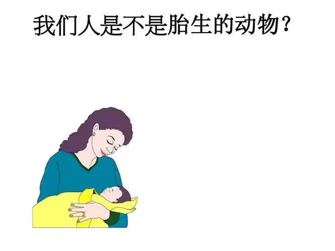 动物的胎生和卵生课件ppt