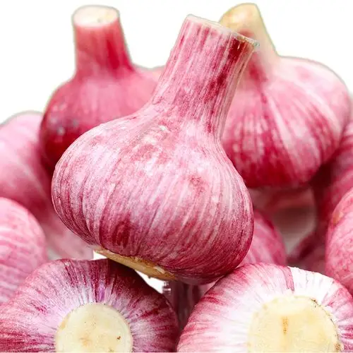 现挖新鲜紫皮大蒜带箱5斤(热品库)