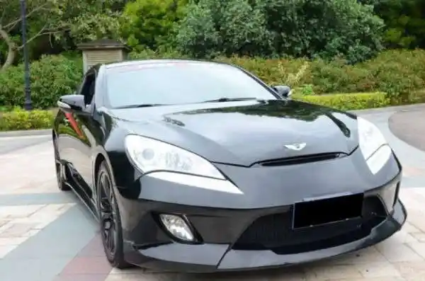 有谁知道这是什么车t车标带翅膀