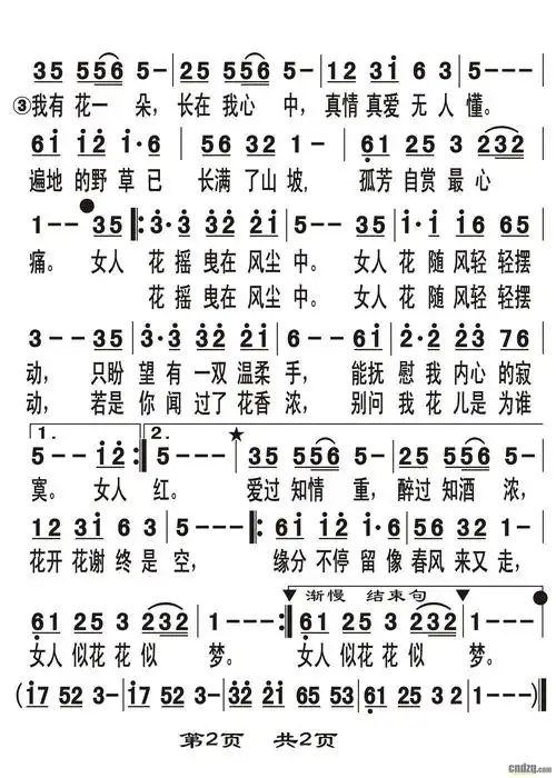 《女人花》 雅马哈psr-s650电子键盘琴演奏