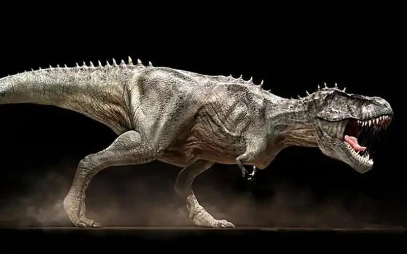 恐龙世界(1)水生霸主 棘龙_哔哩哔哩_bilibili