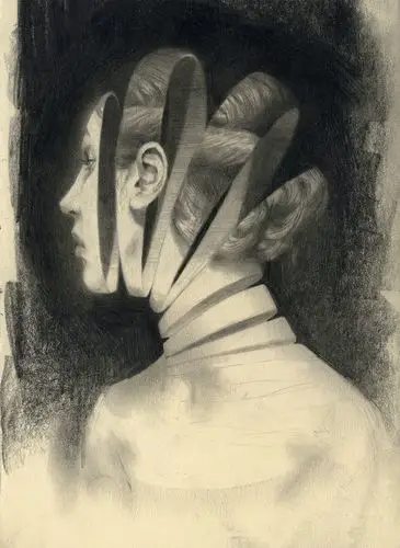 由迈尔斯·约翰斯顿分割的石墨肖像