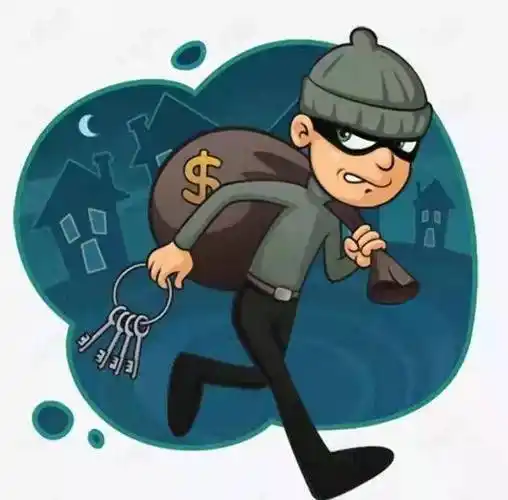 习作||小偷的困惑