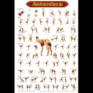 泰国进口古泰拳海报动作图108式招式壁画拳馆装饰画武馆挂画壁纸