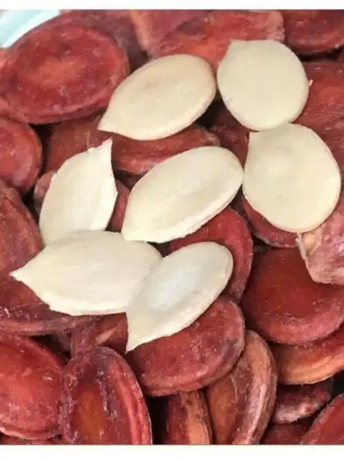 新鲜大粒饱满炒熟信丰炒货大颗粒生红瓜子原味结婚庆生水煮熟